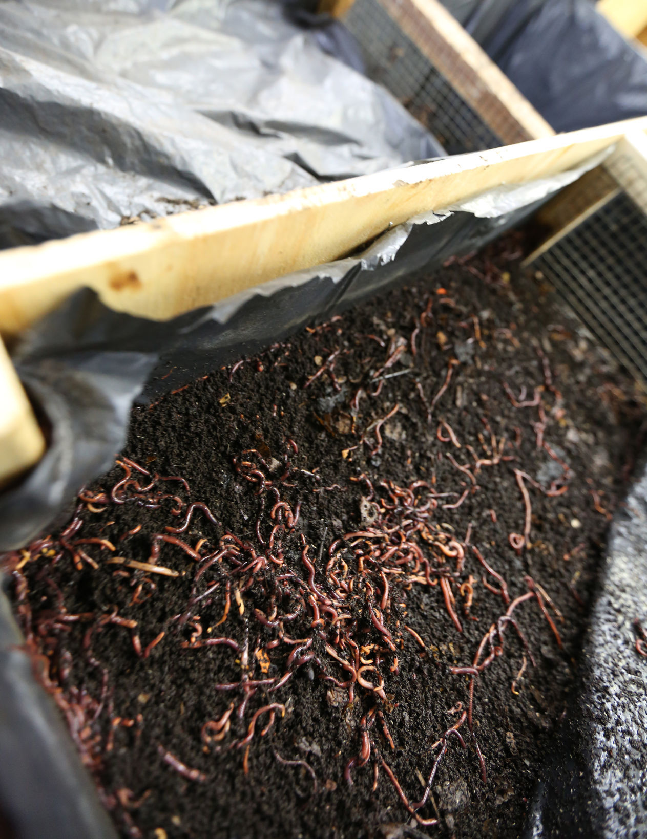 EARTH STEW COMPOST SERVICES